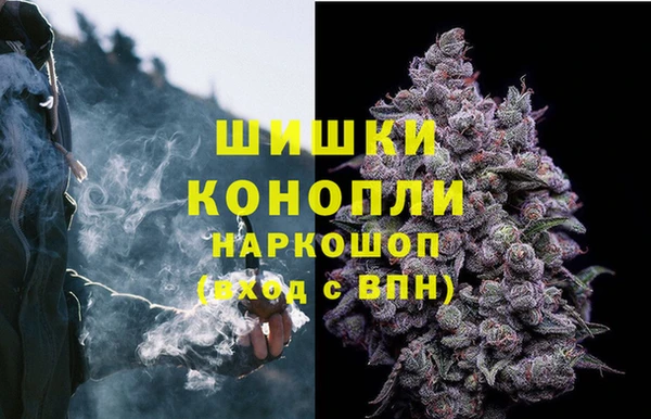 PSILOCYBIN Белокуриха